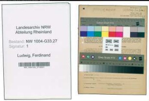 Entnazifizierung Ferdinand Ludwig , geb. 31.05.1894 (Lehrer)