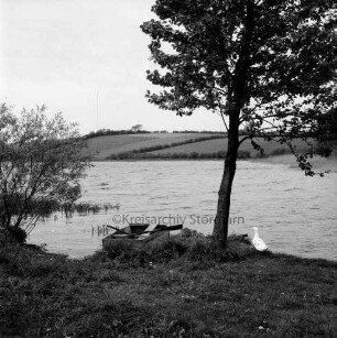 Moorteich: im Vordergrund Ruderboot und Gans unter Baum: hinten Knicklandschaft