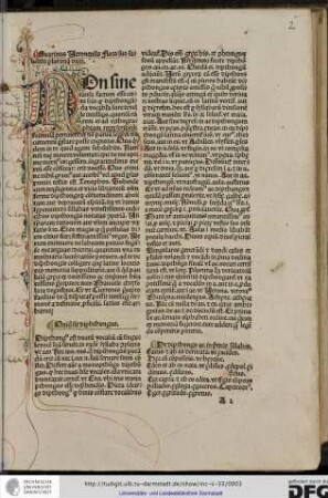 Guarinus Veronensis floro suo salutem plurimam dicit