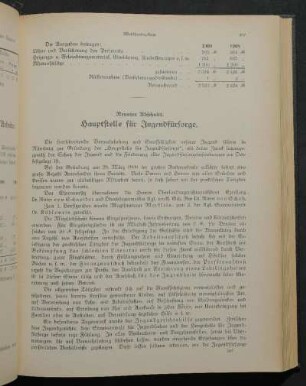 Neunter Abschnitt. Hauptstelle für Jugendfürsorge.