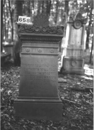 Grabstein 658 (Index: 99900583) Material: Sandstein Zustand: gut erhalten Maße HxBxT: 154x59x29 cm Beschreibung: aufgesockelte Stele, Aufsatz mit Giebelpalmette, Voluten und Akanthus, nach unten mit Eierstabfries und Blütenfries abschließend Symbolik: Palmette, Voluten, Akanthus, Eierstabfries, Blütenfries: Grabstein 658