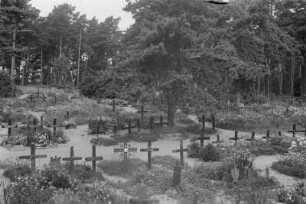 Friedhof in Nida : Gräber auf dem Friedhof in Nida.