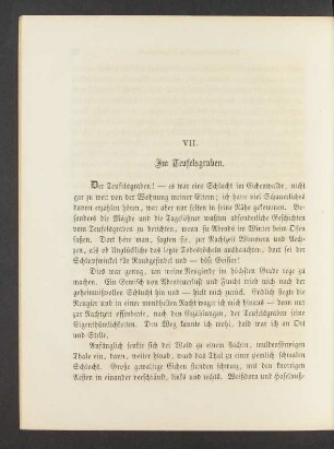VII. Im Teufelsgraben.