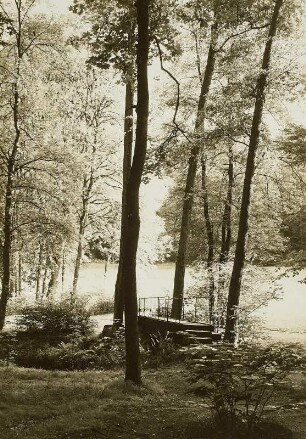 Wachau-Seifersdorf. Seifersdorfer Tal. Ansicht mit Brücke