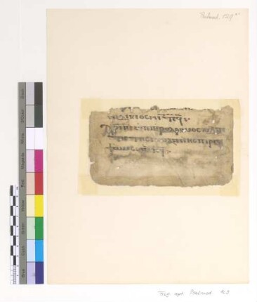 [Psalmodia] : Fragm. copt. Pischoi Psalmod. 129
