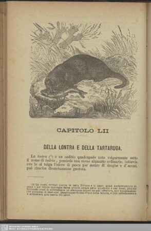 Capitolo LII. Della lontra e della tartaruga