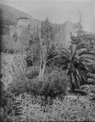 Stadtmauer : Der eigentlichen Mauer vorgelagerte kleinere, schräge Mauer, zum Schutz vor Kanonenbeschuss.