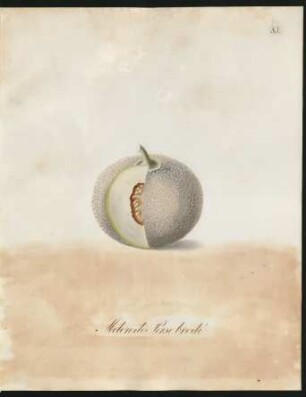 Melon de Perse brodé