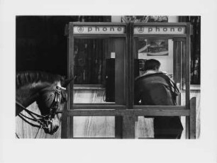 Mann in einer Telefonzelle, davor ein Pferd, New York