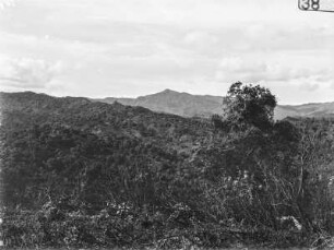 Landschaft : Blick von einer Anhöhe in das bewaldete Tal und auf die bergige Umgebung