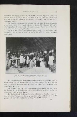 Abb. 13. Entfaserung der Sisalblätter. (Siehe Seite 70.)
