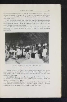 Abb. 13. Entfaserung der Sisalblätter. (Siehe Seite 70.)
