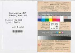 Entnazifizierung Christel Moll, geb. 02.09.1908 (Krankenschw.)
