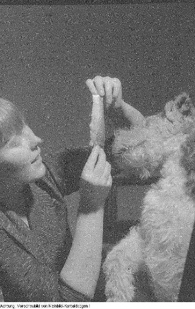 Verschiedenes: Kind beim Schuhe putzen, Kind mit Flugzeugmodellen, Botanischer Garten, u.a., Januar-August 1957