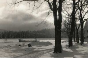 Cämmerswalde-Rauschenbach (Neuhausen-Rauschenbach). Wintermorgen
