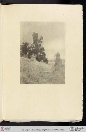 [Alfred Stieglitz, X. September (1899), halftone reproduction from gum print]