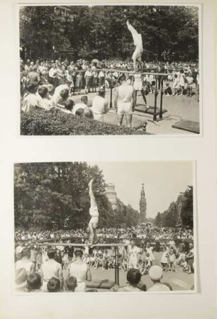 Album des Männer-Turnvereins zu Friedenau; Blatt 66