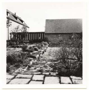 Grünflächen an der Albrecht-Dürer-Schule, Bromberg: Garten und Laubengang