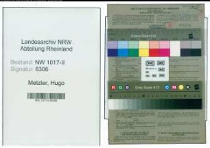 Entnazifizierung Hugo Metzler , geb. 01.05.1904 (Vermessungstechniker)