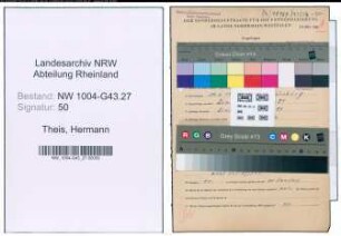 Entnazifizierung Hermann Theis , geb. 10.06.1911 (Kaufm.Angestellter)