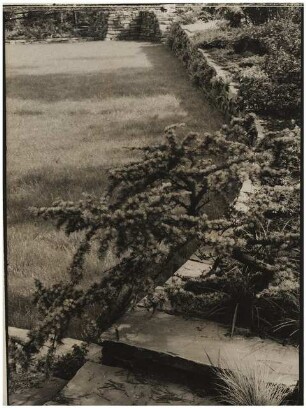 Garten Westermann, Hamburg-Blankenese: Trockenmauer