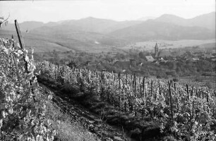 Ehrenstetten: Ehrenstetter Ölberg; mit Blick auf Ehrenstetten
