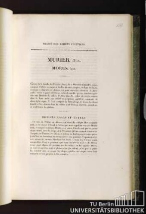 Murier. Duh. Morus. Lin.