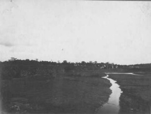 Touristen laufen auf dem Asphalt des Pitch Lake auf Trinidad