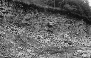 Aufschluß im Braunen Jura : Blick auf Gestein vermutlich aus dem Braunen Jura bei Möringen