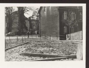 Grünanlage an der Paulinenstr. im Frühjahr 1961. Detmold. Paulinenstr. Papierabzug