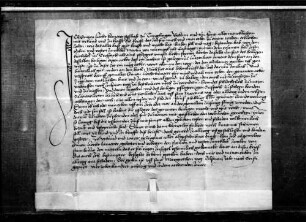 Simon Lichtkamerer von Tumlingen reversiert gegen Junker Martin von Neuneck als Kastvogt und gegen den Kirchherrn zu Cresbach für das Erblehen der Heiligenäcker zu Cresbach.