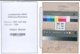Entnazifizierung Michael Welsch , geb. 18.09.1891 (Obersteuerinspektor)