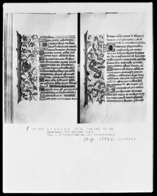 Lateinisches Gebetbuch mit Kalendarium — Schriftseite mit Initialen und Bordüre