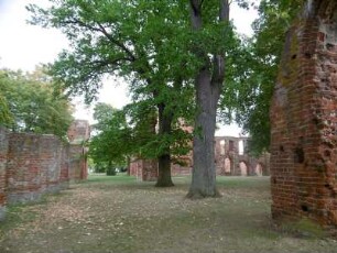 Greifswald: Klosterruine Eldena