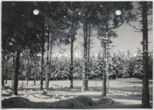 Winterlandschaft, Taunus, Feldberg