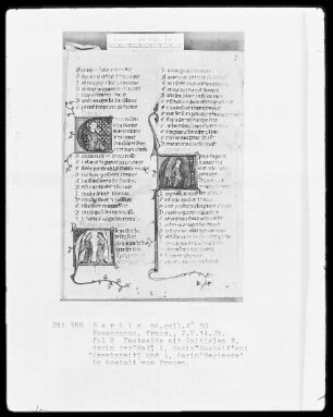 Roman de la Rose & Rosenroman — ---, Folio 2rectoBuchseite