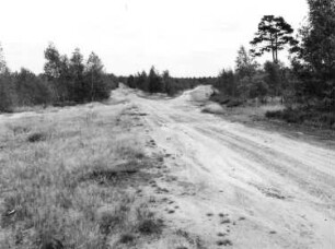 Ehemaliger Truppenübungplatz Königsbrück. Fahrstraße in der Nähe der Ortslage Otterschütz