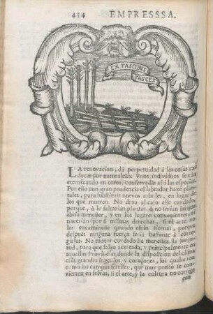 Ex Fascibvs Fasces