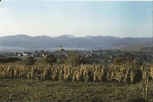 Kirchhofen: Am Batzenberg; Hintergrund Ort