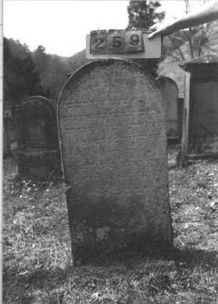 Grabstein 259 (Index: 100009241) Zustand: leicht verwittert Maße HxBxT: 102x48x23 cm: Grabstein 259