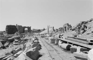 Ruinen von Leptis Magna : Blick über Säulen und Ruinen