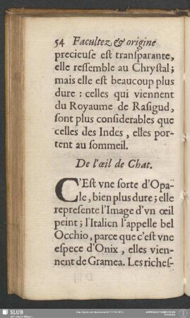 De l'oeil de Chat