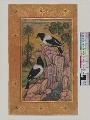 Illustration: Zwei Elstern auf einem Felsen