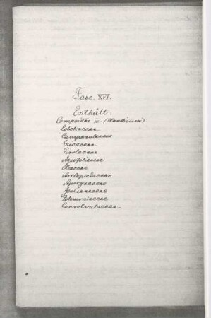 Fasc. XVI.