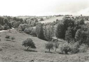 Dresden. Zschonergrund in der Nähe der Zschonermühle. Blick von der Hochfläche bei Ockerwitz