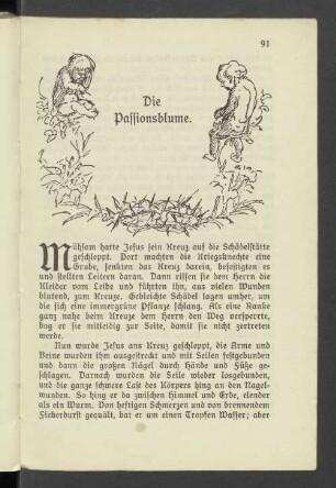 Die Passionsblume.