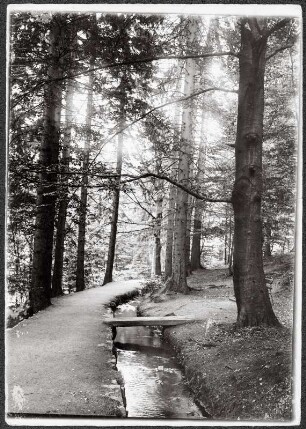 Bad Harzburg, Philosophenweg