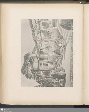 Chapter XIV. Hardy Climbers