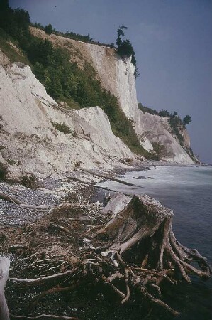 Rügen. Jasmund, Gakower Ufer bei Saßnitz, Kreideküste