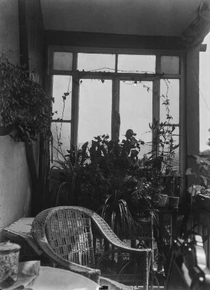 Auf dem Balkon : Verglaster Balkon mit Pflanzen und Korbstuhl. Vermutlich in Jena
